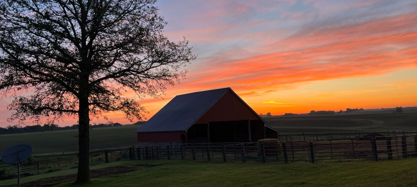 They Don’t Live in Joy,&nbsp;Illinois